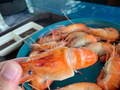 -SHRIMP CLUB万东餐饮钓虾·清吧