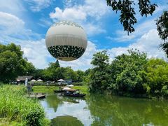 -西溪国家湿地公园