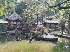 -成都杜甫草堂博物馆