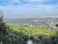 -北京西山国家森林公园