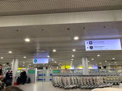 -谢列梅捷沃国际机场