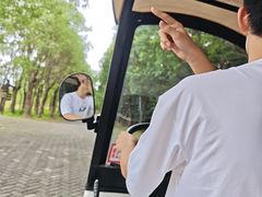 -上海海湾国家森林公园