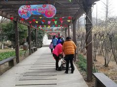 -白马涧龙池景区
