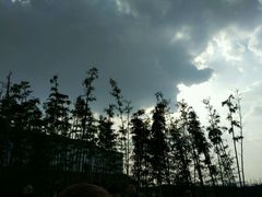 -白鹭湾湿地公园