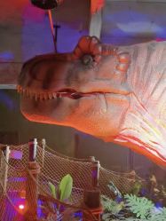 -恐龙探索乐园(磁器口店)