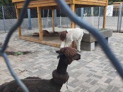 -长白岛森林公园