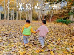 -森林公园(尖草坪区)