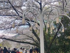 -杭州少年儿童公园