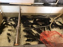 -铁锅炖灶台鱼老三炖鱼馆