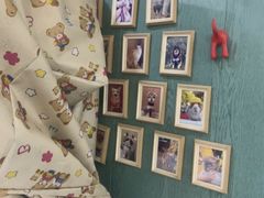 -严国平动物医院(德政总院)