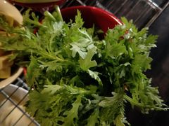 -陈阿婆重庆绿色鱼火锅