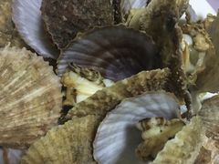 -宾朋海鲜特色美食餐厅·纯手工鲅鱼水饺(兴海路店)