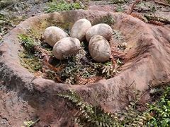 -湖南省地质博物馆