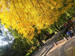 -玲珑塔公园