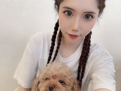 -派联宠物医院·24h·CT·异宠
