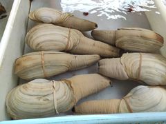 -南沙十九涌渔人码头-南门