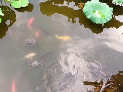-龙头寺公园