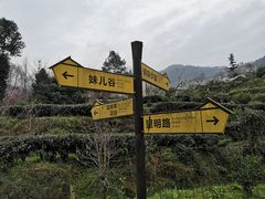 -樱桃山旅游景区