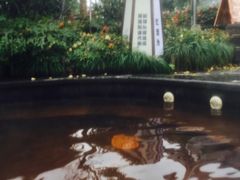 -杭州第一世界大酒店·云曼温泉