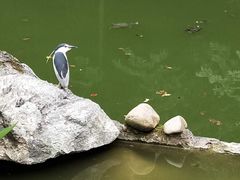 -杭州西湖风景名胜区-三生石
