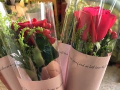 -双季花艺园艺市场(浦东店)