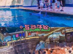 -海合安青岛极地海洋公园