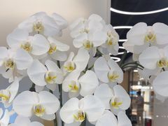 -Z&B Fitness Studio·Gym(前滩L+PLAZA店)