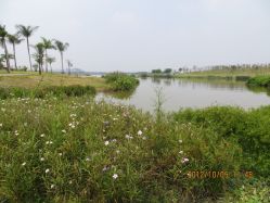 照片&nbsp;752-云湖游乐园