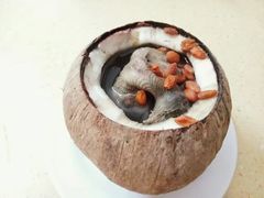 原只椰子炖鹌鹑-達揚原味燉品(文明路店)