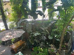 -云里小坐·小院里·团建·宴请·下午茶(三圣乡店)