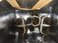 -阳澄湖大闸蟹·琼灵阁牌品牌连锁(吴中总店)