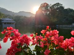 -广州市白云山风景名胜区