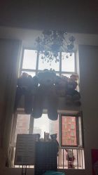 -JX今喜美甲美睫