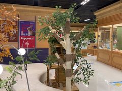 -帕帕拉兹宠物(亚洲旗舰店)