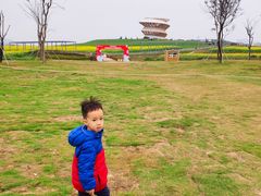 -光明小镇欢乐田园