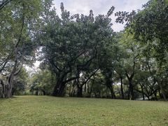 -晓港公园