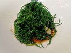 果仁爱沙葱-九十九顶毡房(阜石路店)