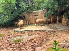 -南昌动物园
