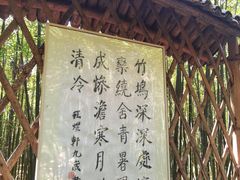 -同里国家湿地公园
