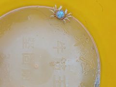 -北海金海湾红树林生态旅游区