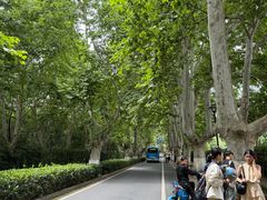 -灵谷景区