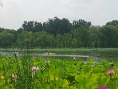 -WhaleSports户外水上运动俱乐部(朝阳公园店)