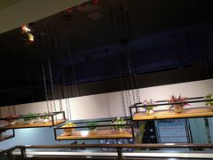 -鲜椒鱼·雅安地标性美食