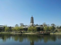 景点-舍利塔滩地公园-无垢净光舍利塔