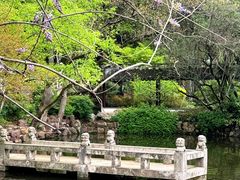 -上海醉白池公园