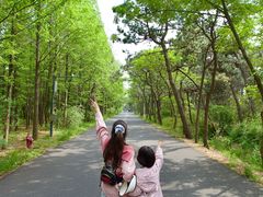 -日照海滨国家森林公园