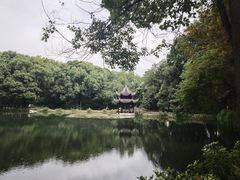 -忠山公园