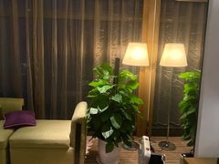 -深圳皇庭V酒店