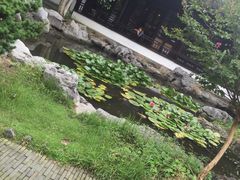 picture-日出青木·杭帮菜名店