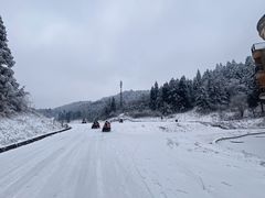 -武陵山森林公园